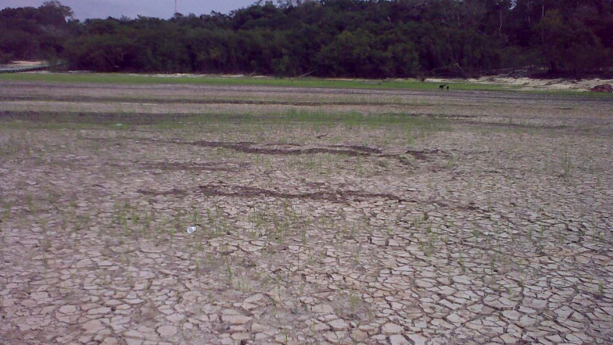 Rio Negro durante a seca de 2010 que assolou a Amazônia brasileira
