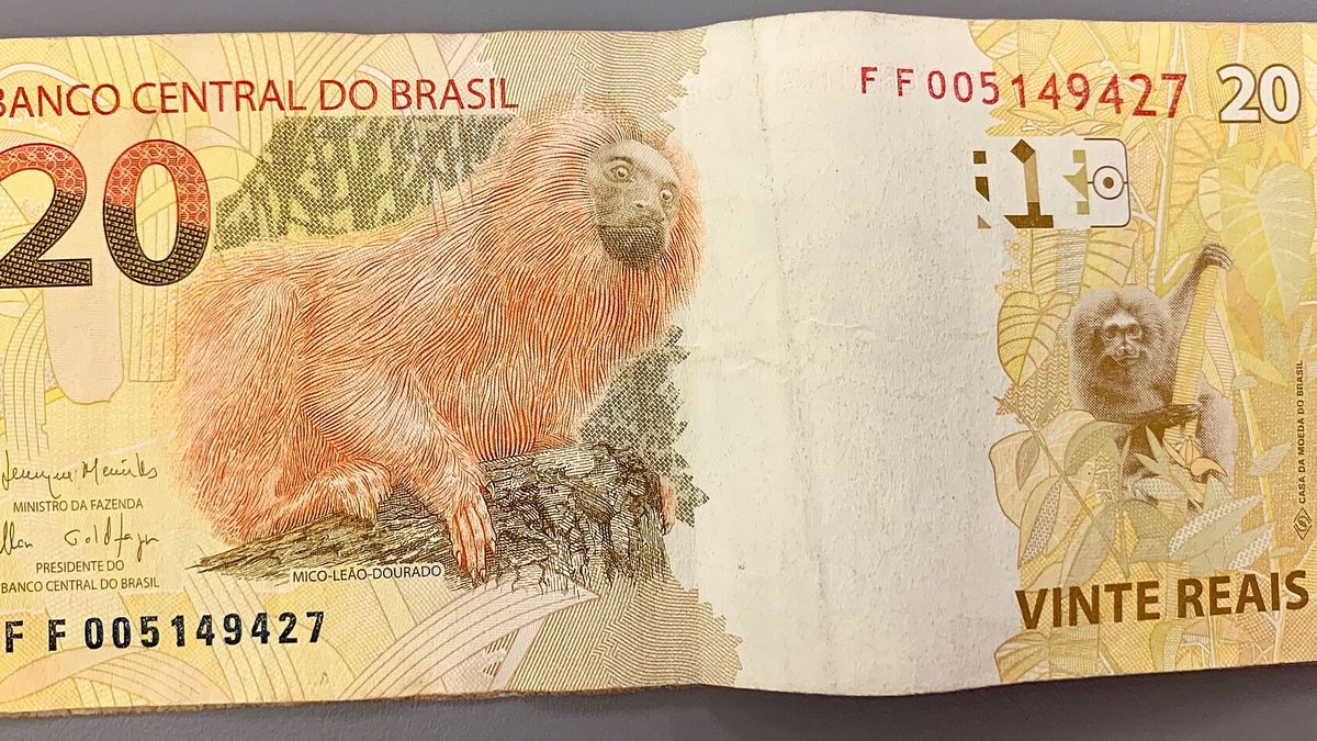 20 Brazilian real banknotes